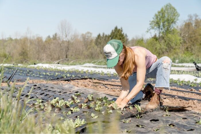 Woman Planting