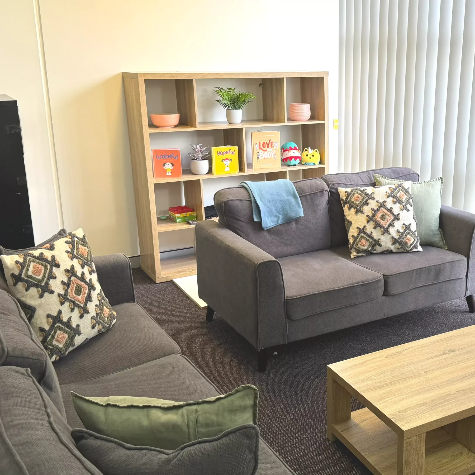 clinic-room-dietitian-central-coast Dietitian Clinic consultation room